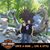 Craig Frederickson's profile image