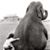 Suzanne Parker's profile image