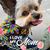 Millie Hobson's profile image