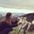 Kayla Rhayne Ross's profile image