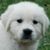 Margaret Coxe's profile image