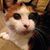 Scott Millspaugh's profile image