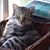Cheryl Stogren's profile image