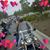 Cindy Allen-Rivers's profile image