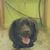 Everett Ward's profile image