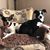 Bernette Pomeroy's profile image