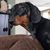 Cindy HM's profile image