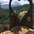 Lori Croxton Pendley's profile image