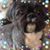 Linda Kelsey's profile image