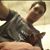 Fabio Pinheiro's profile image