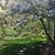Orval Cheyney's profile image