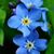 Linde Skipper's profile image