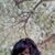 Benjawan Khien-um Lbgn's profile image