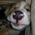Susan Mawer's profile image