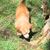Greg A. Emerick's profile image