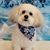 Susan Gallamore Rihn's profile image