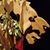 Mary Wellington's profile image