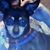 Regina David Cagle's profile image