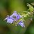 Kathryn Gentless Gilbert's profile image