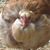 Cheryl Anderson's profile image