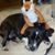 Brian Gustin's profile image