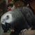 Pat Marsh's profile image
