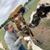 Melissa Thomas's profile image