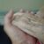 Amy Tudovich's profile image