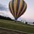 Cathy Ferrell Uhlig's profile image