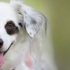 William Smith's profile image