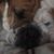 Sondra Dotson Apperson's profile image
