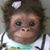 Tania Eberle's profile image