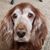 Shawn Cotter's profile image