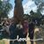 Janette Sellers's profile image