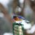 Jeanne Cilley Zarba's profile image