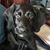 Gwen Obermeyer's profile image