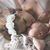 Christa Howard Tapscott's profile image