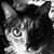 Catherine Kopera's profile image