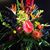 Robyn Martin's profile image