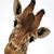 Jenn Welty's profile image