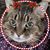 Linda Kelley's profile image