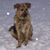 Frances Stayton's profile image
