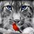 Lisa Miller's profile image
