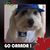 Michele Clark Peddle's profile image