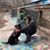 Donnie Fisher's profile image