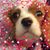 Linda Dotson Johnson's profile image