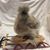 Judy Mark-Laird's profile image