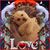 Maria Lupe Bustamante's profile image