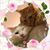 Sophia Tarallo's profile image
