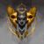 Michael Picco's profile image